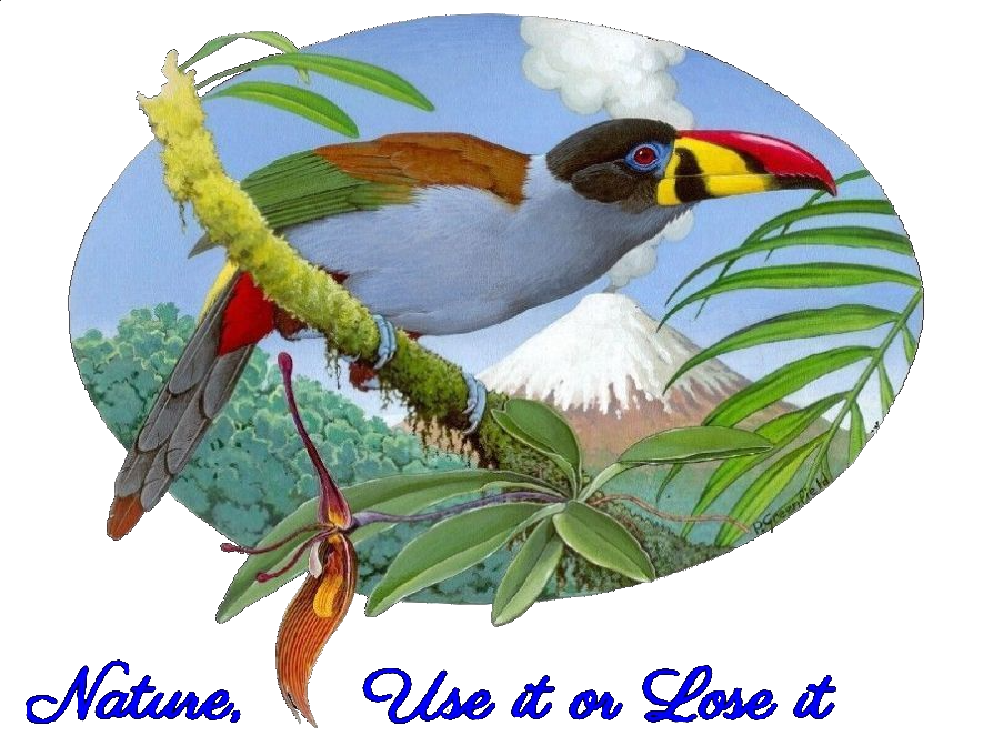 Website Logo